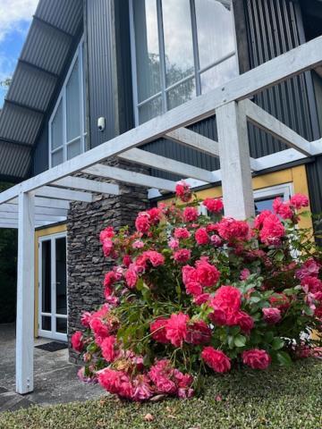 Gondwana Chalet Perfect For All Seasons 오하쿠네 외부 사진